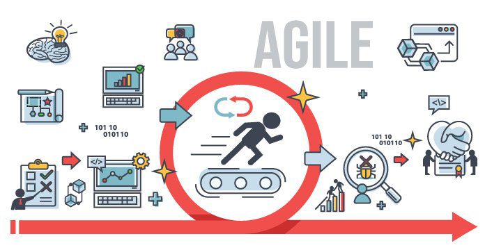 agile organization